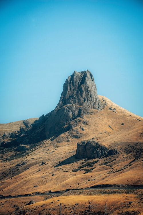 Rock on the Brown Desert