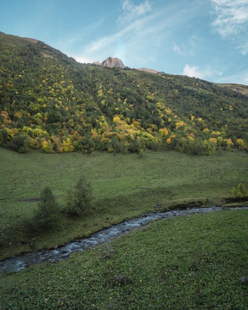 Kostnadsfria Kostnadsfri bild av bergen, dal, grön Stock foto