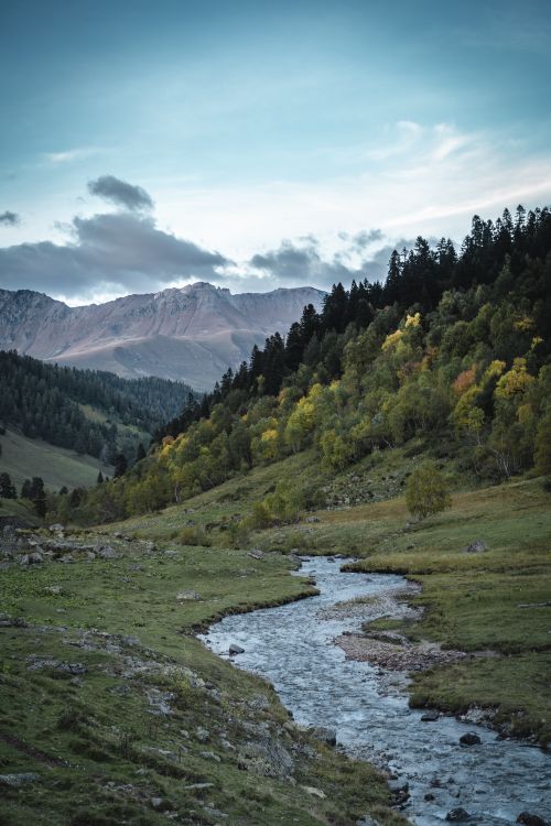 Free Peaceful mountain scene with a winding river and lush trees at dusk. Stock Photo