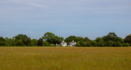 Бесплатное стоковое фото с здания, лето, поле