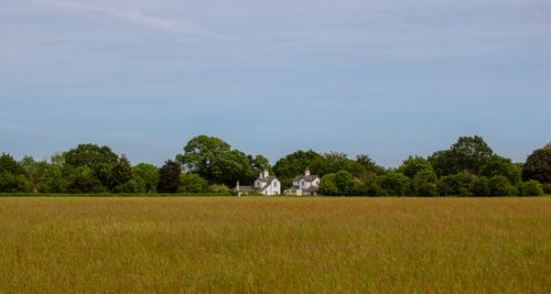 Free Idyllic rural scene with a house amidst lush greenery under clear blue skies. Stock Photo