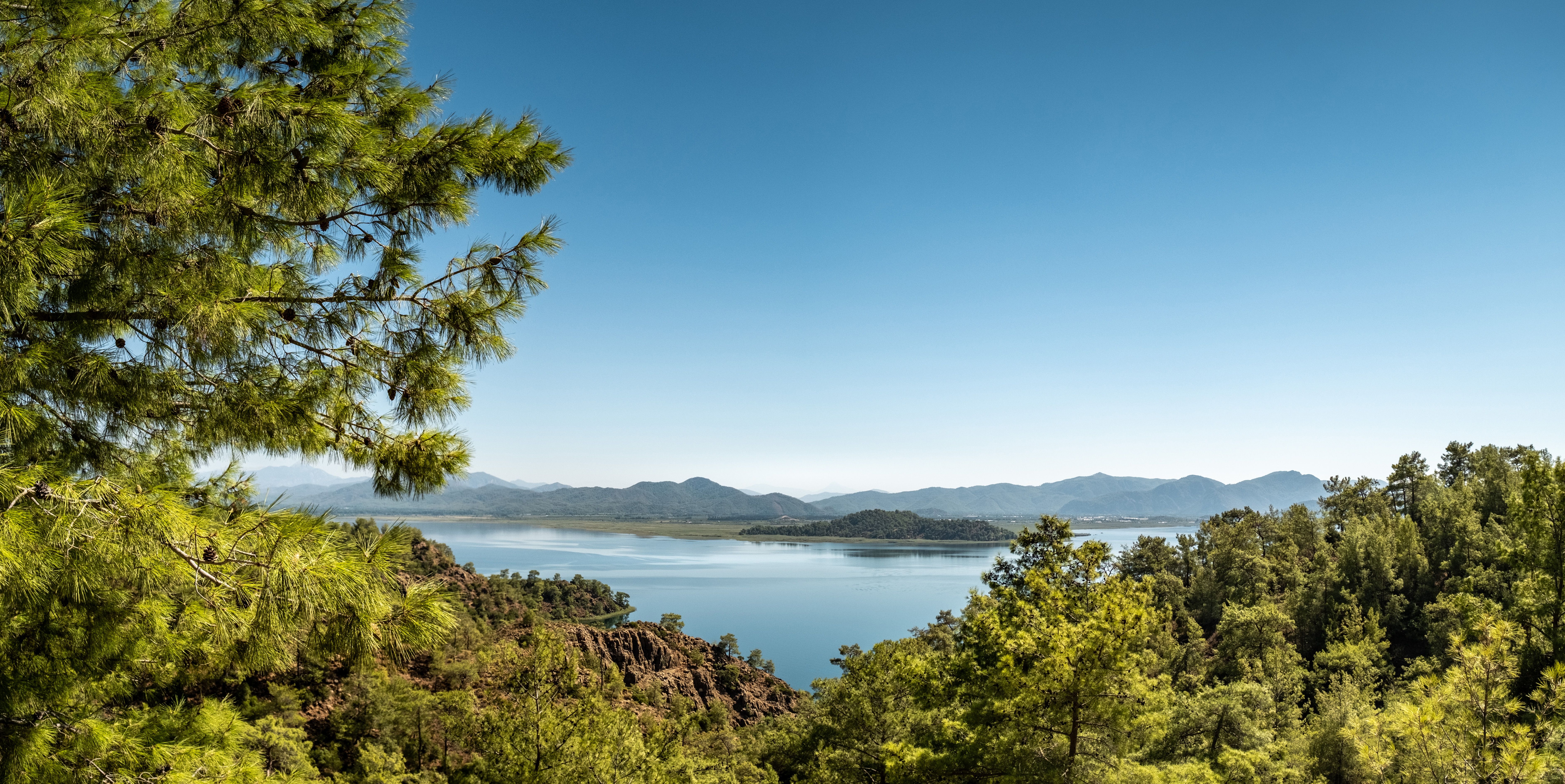 A View of a Trees and Lake · Free Stock Photo