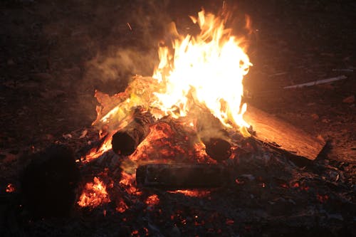 Blazing Fire on a Bonfire 