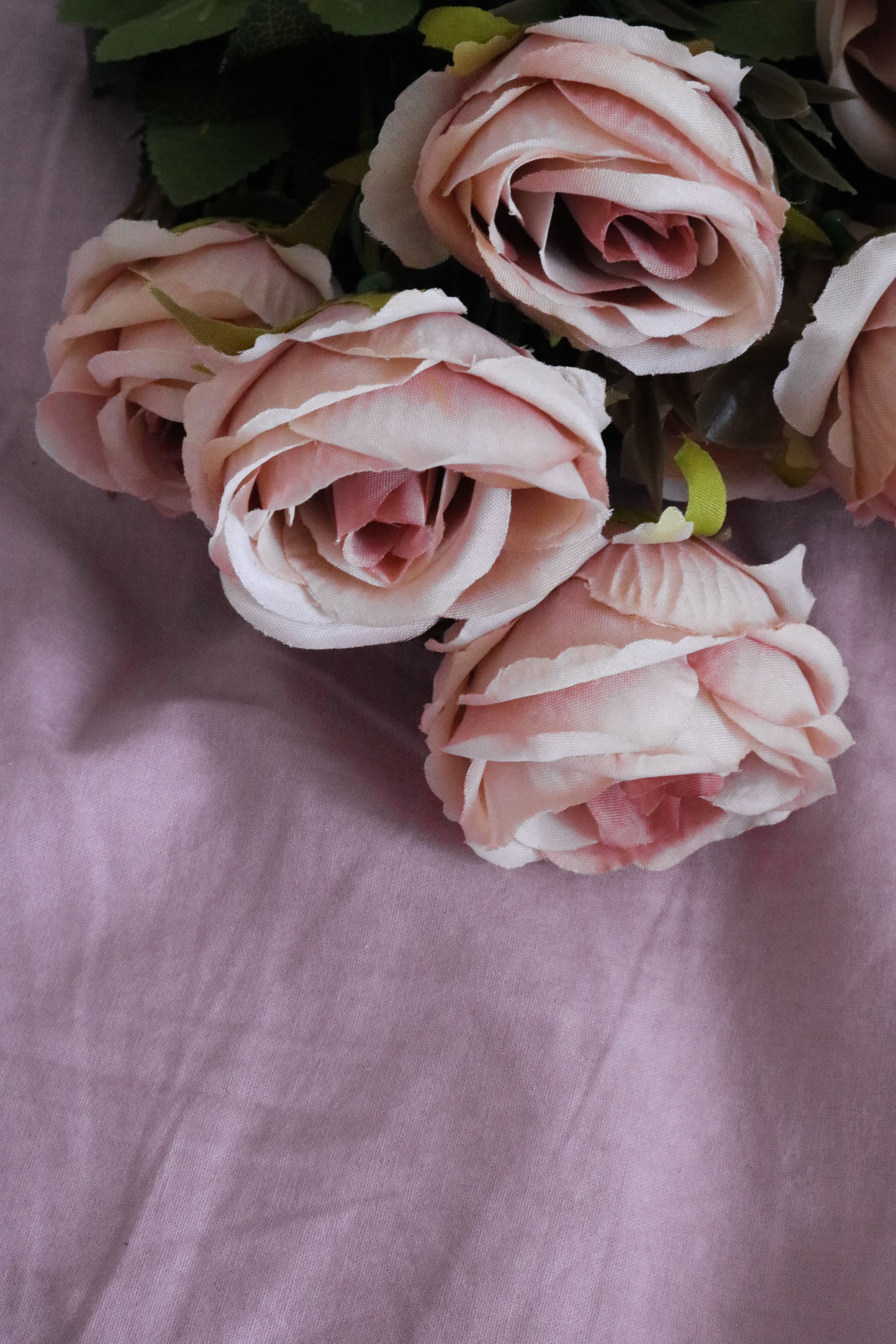 Blooming Pink Roses · Free Stock Photo