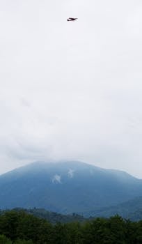 Image by Fariborz MP