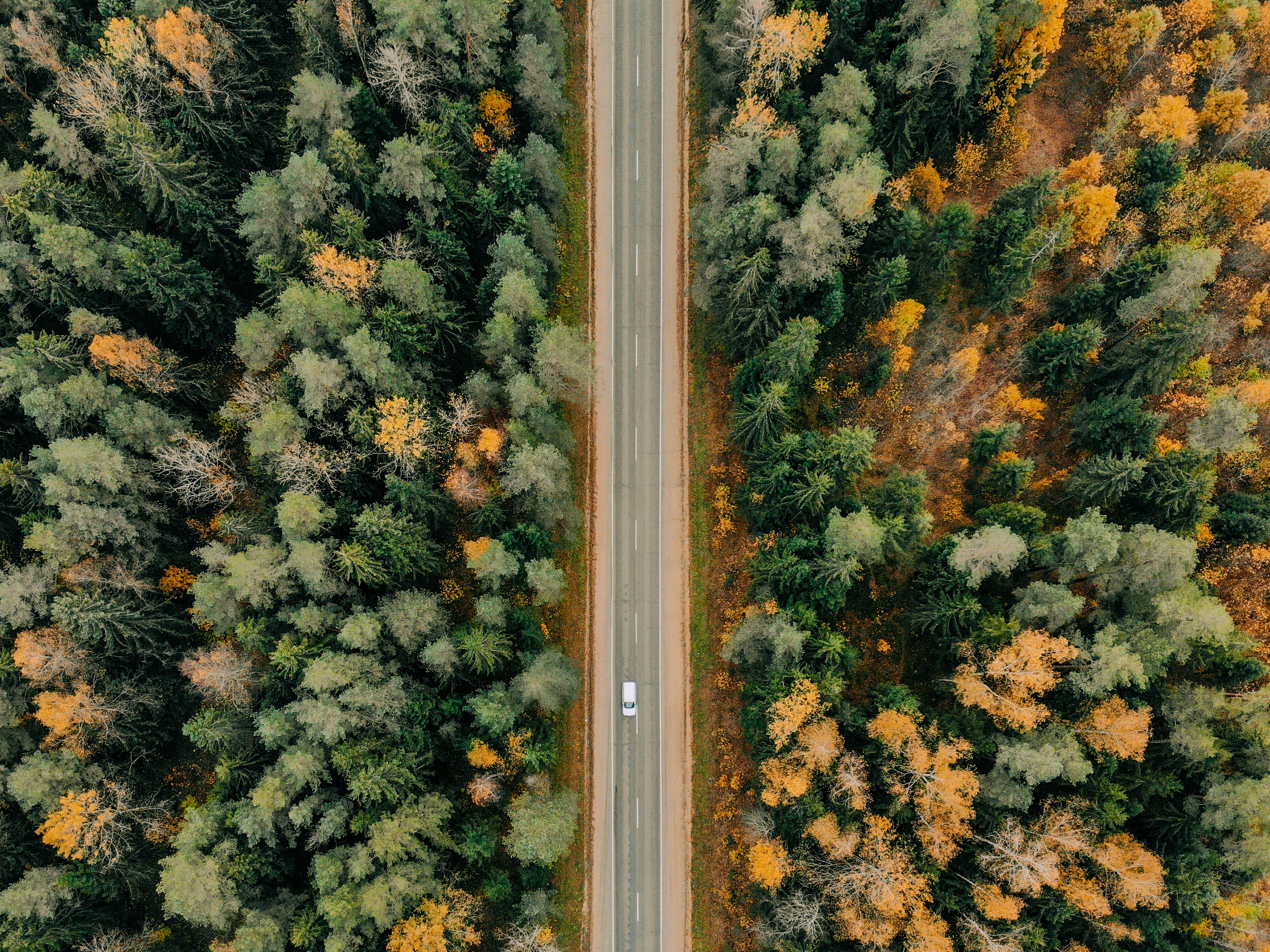(Video) Mașină surprinsă pe pista de biciclete în oraș