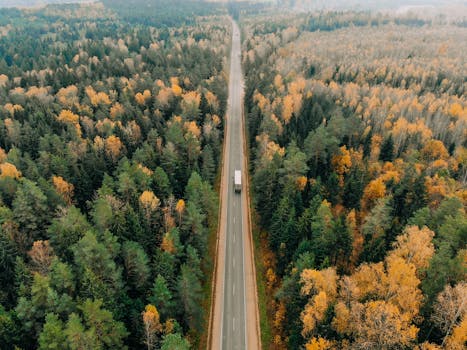 A truck travels through a vibrant forest road in autumn, showcasing the beauty of nature from above.
