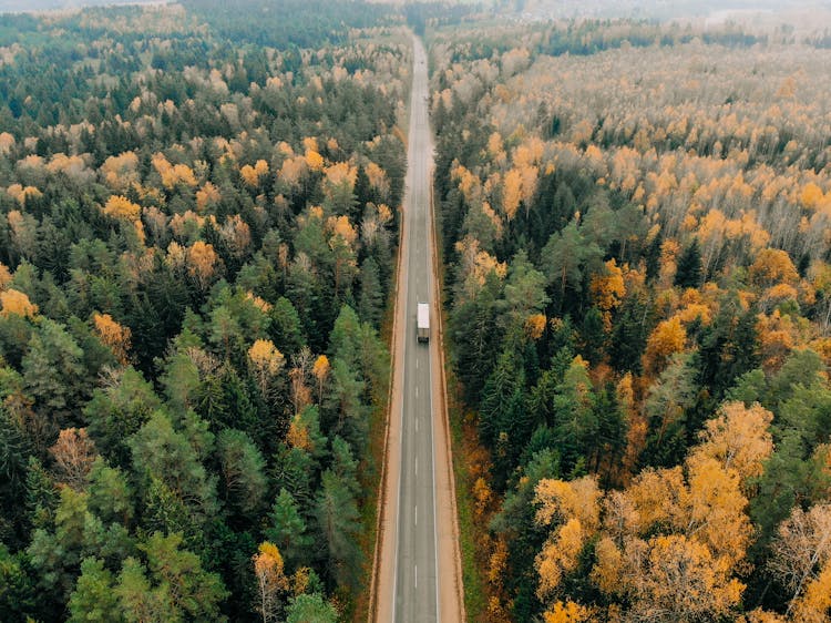 Drone Shot Of A Truck Driving On A Road Between Trees