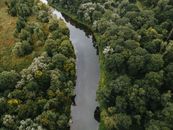 Aerial Footage of Water Canal between Trees