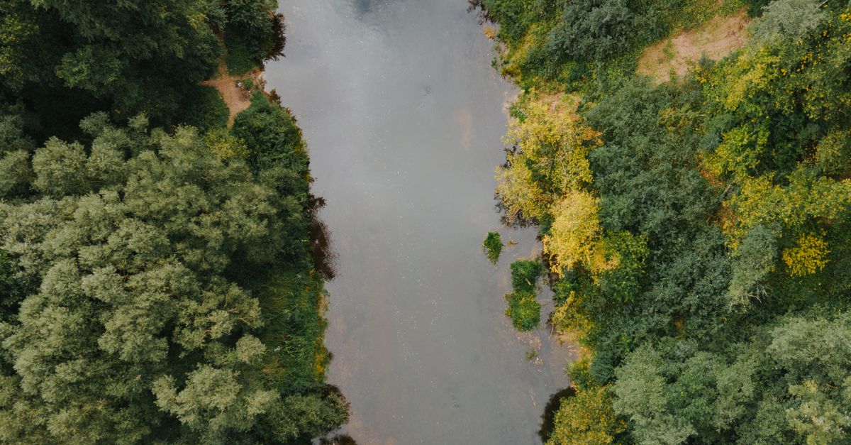 A beautiful aerial shot of a river flowing through lush summer forest.