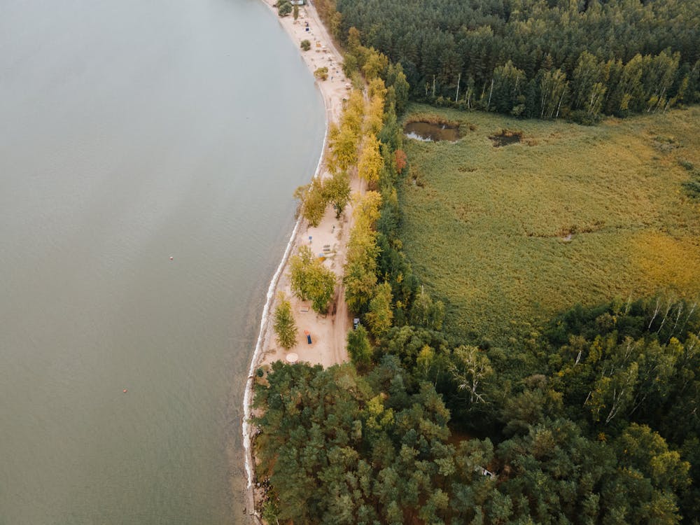 Gratis arkivbilde med biler, dronebilde, flyfotografering