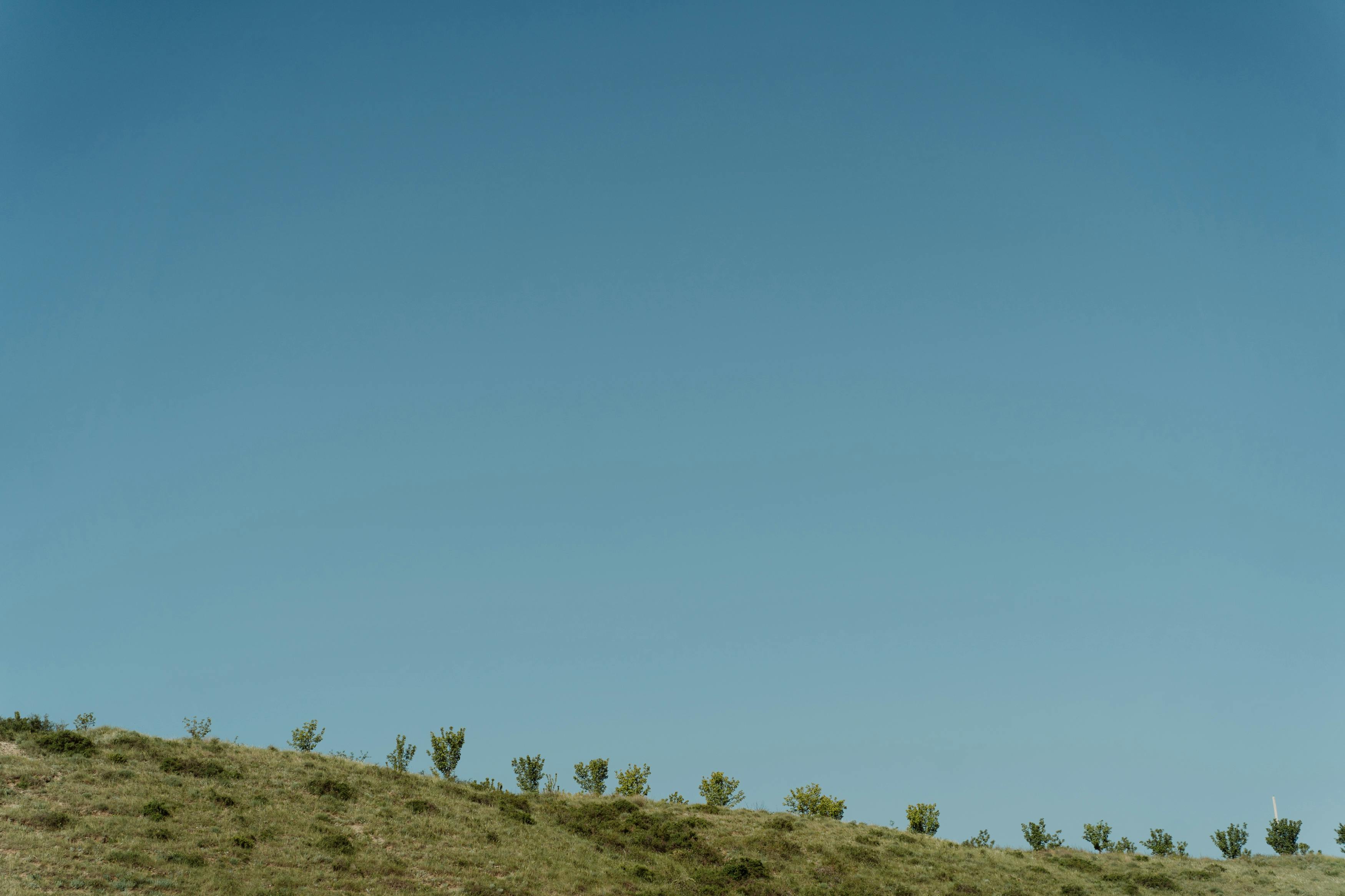 무료 갈색 잔디, 경 사진, 경치의 무료 스톡 사진