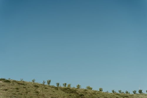 Bezpłatne Darmowe zdjęcie z galerii z błękitne niebo, brązowa trawa, czyste niebo Zdjęcie z galerii