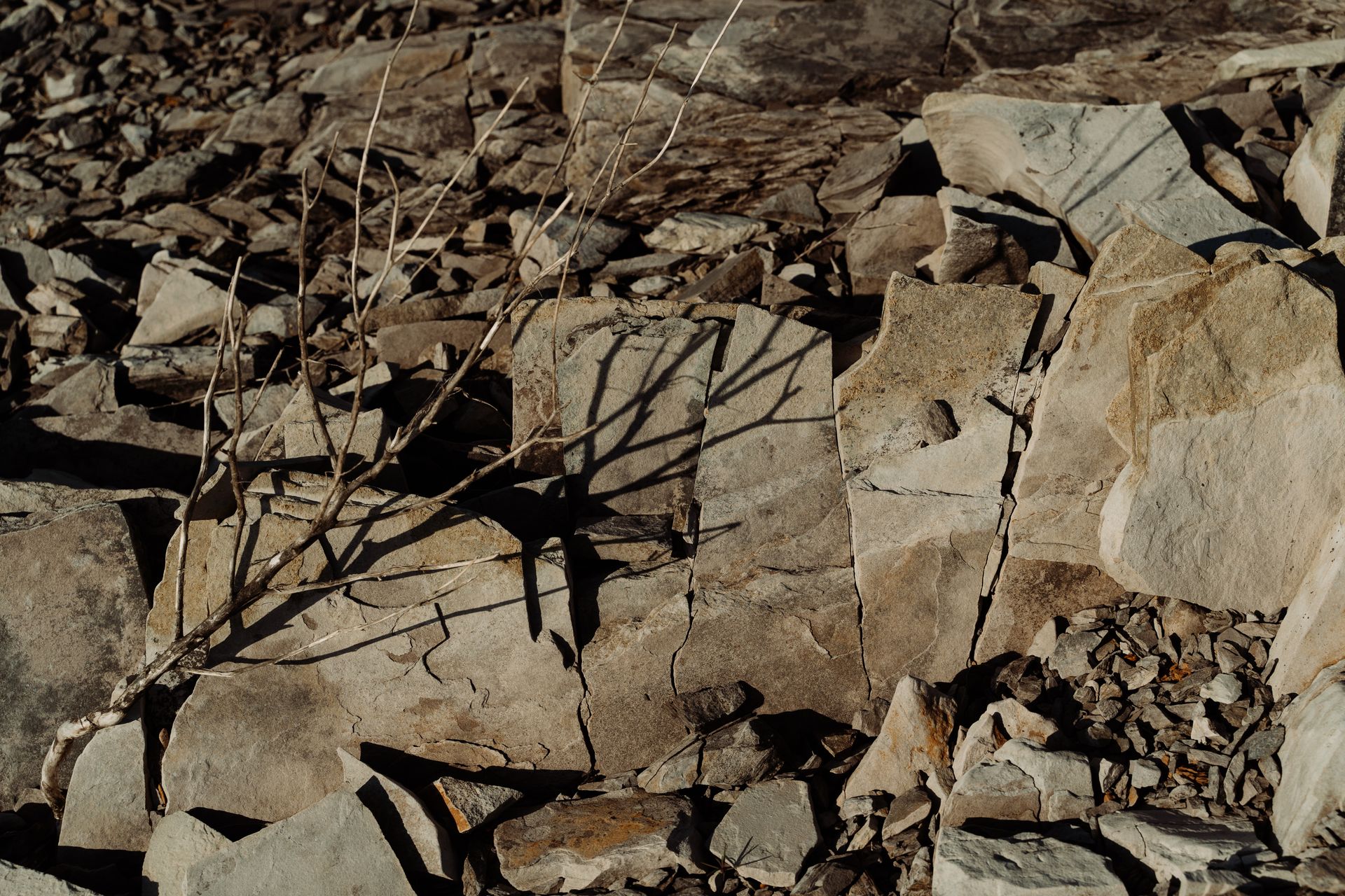 Close-up Photo of Cracked Cobbelstone Rocks