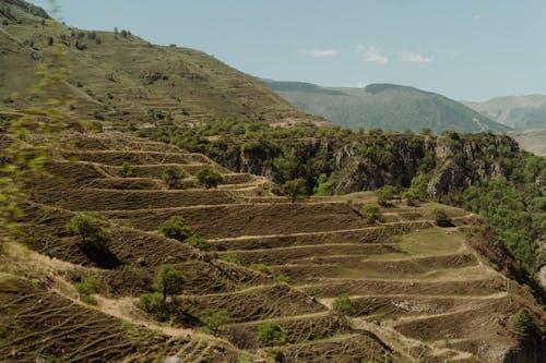 Terraces during Daytime 