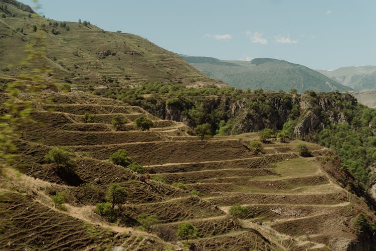 Terraces During Daytime 