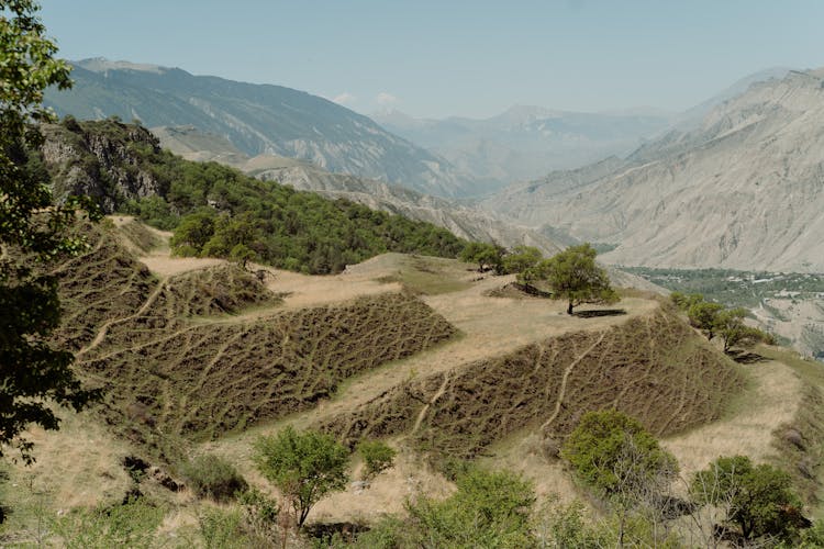 Terraces During Daytime