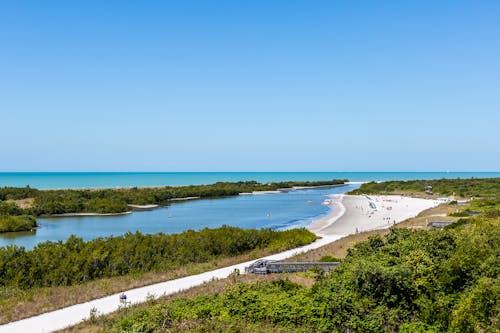 Gratis stockfoto met amerika, bomen, Florida