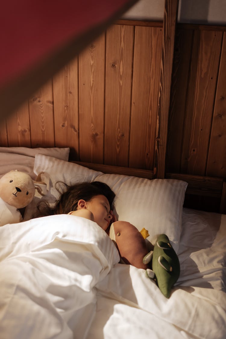 Young Girl Sleeping Tight In Her Bed Among Beloved Cuddly Toys