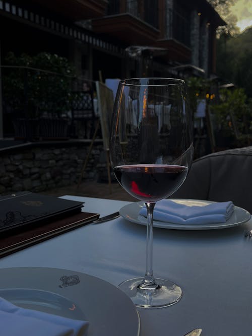 Foto profissional grátis de Alta gastronomia, bebida, copo de vinho