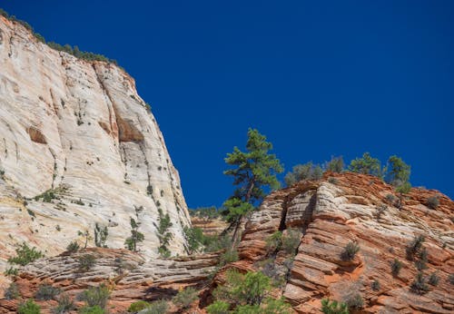 Photos gratuites de arbre, caillou, canyon