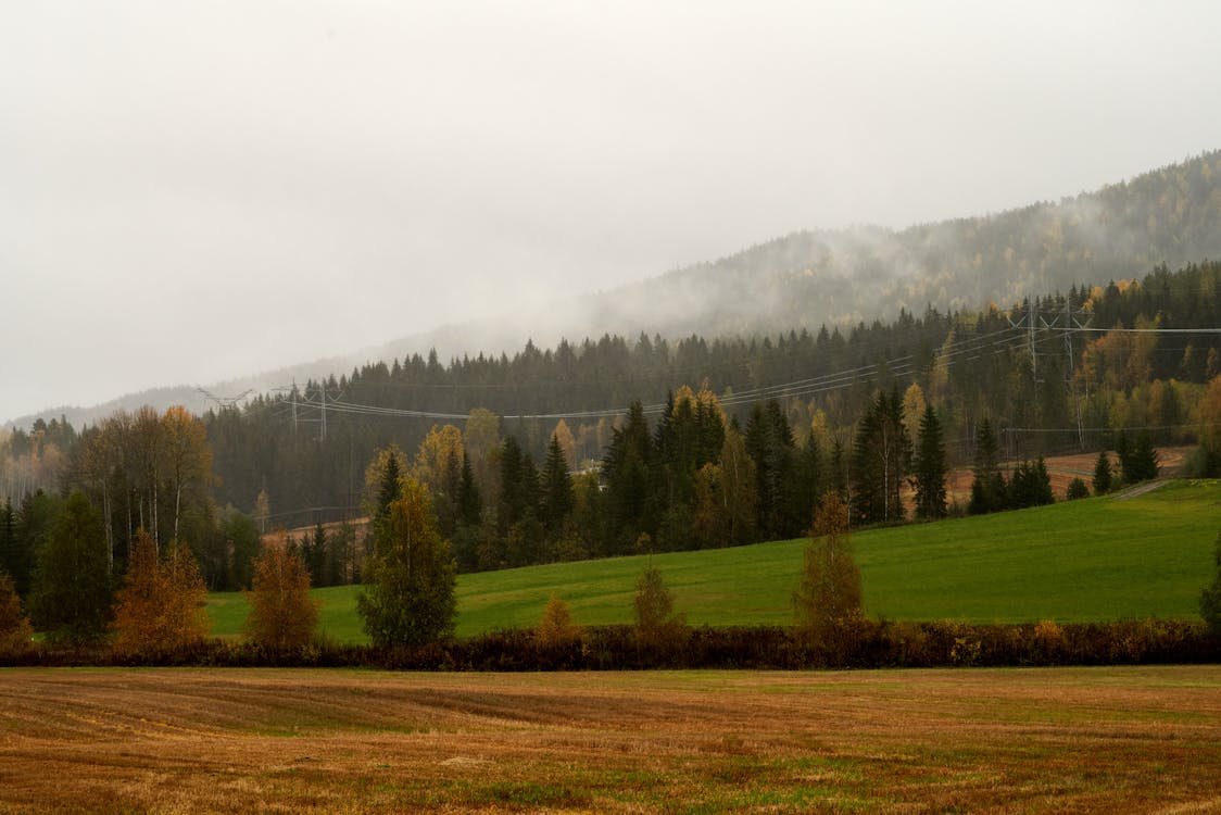Amorphous Silicon Solar Cells – Comprehensive Pros and Cons Guide Flexible amorphous silicon thin-film solar panel bending on a curved surface showing lightweight design