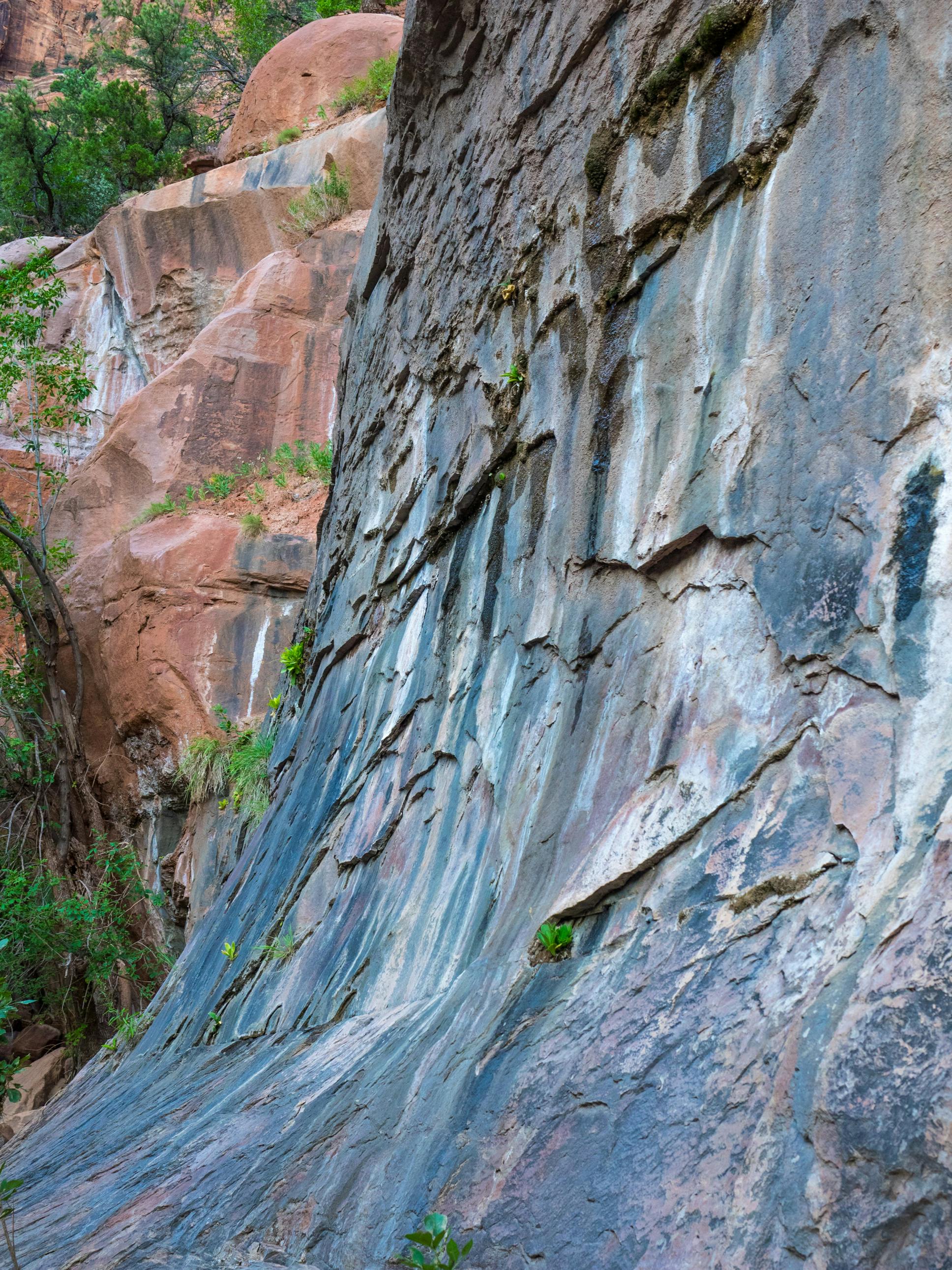 Agricultural Solar Panel Costs: Complete UK Guide for 2026