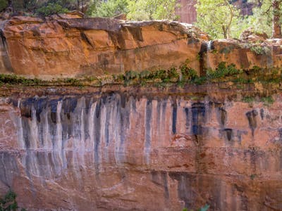 Nông Nghiệp & Trang Trại