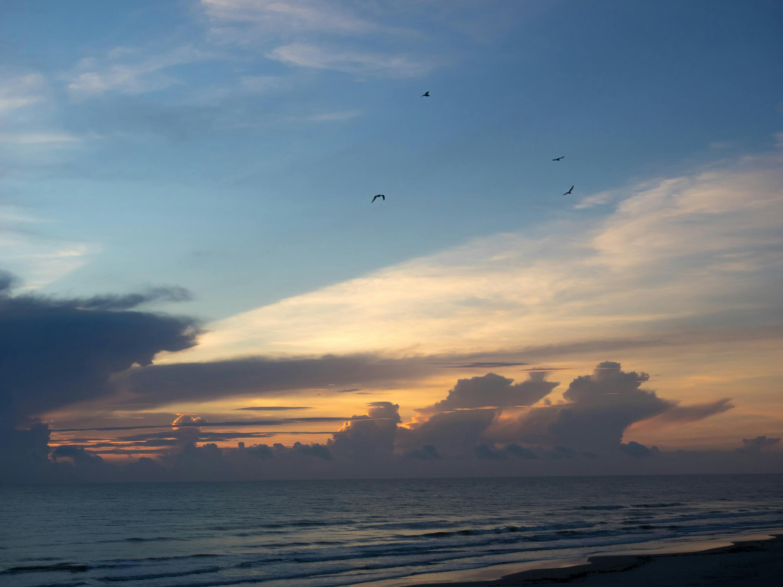 PV-Anlage Rennersdorf