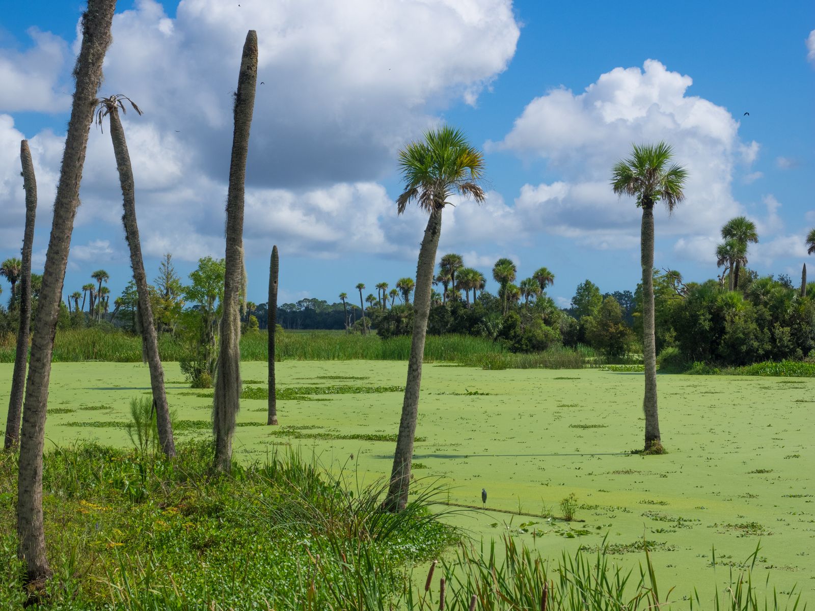 Landscape and infrastructure corridor symbolising long-term regional ambition