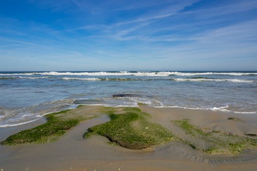 คลังภาพถ่ายฟรี ของ คลื่น, ชายหาด, ทราย