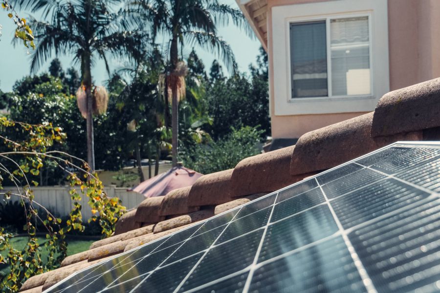 Close-up of solar panels on a rooftop with palm trees and a house in the background.