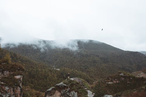 Free Person Standing on Top a Mountain  Stock Photo
