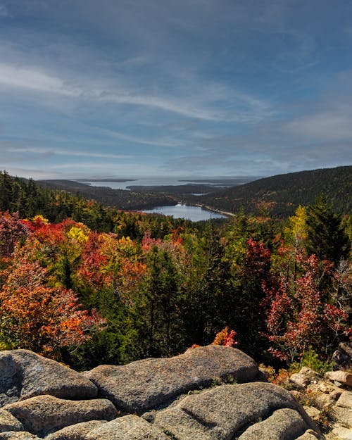 Free Autumn Colors of the Mountain Forest Stock Photo