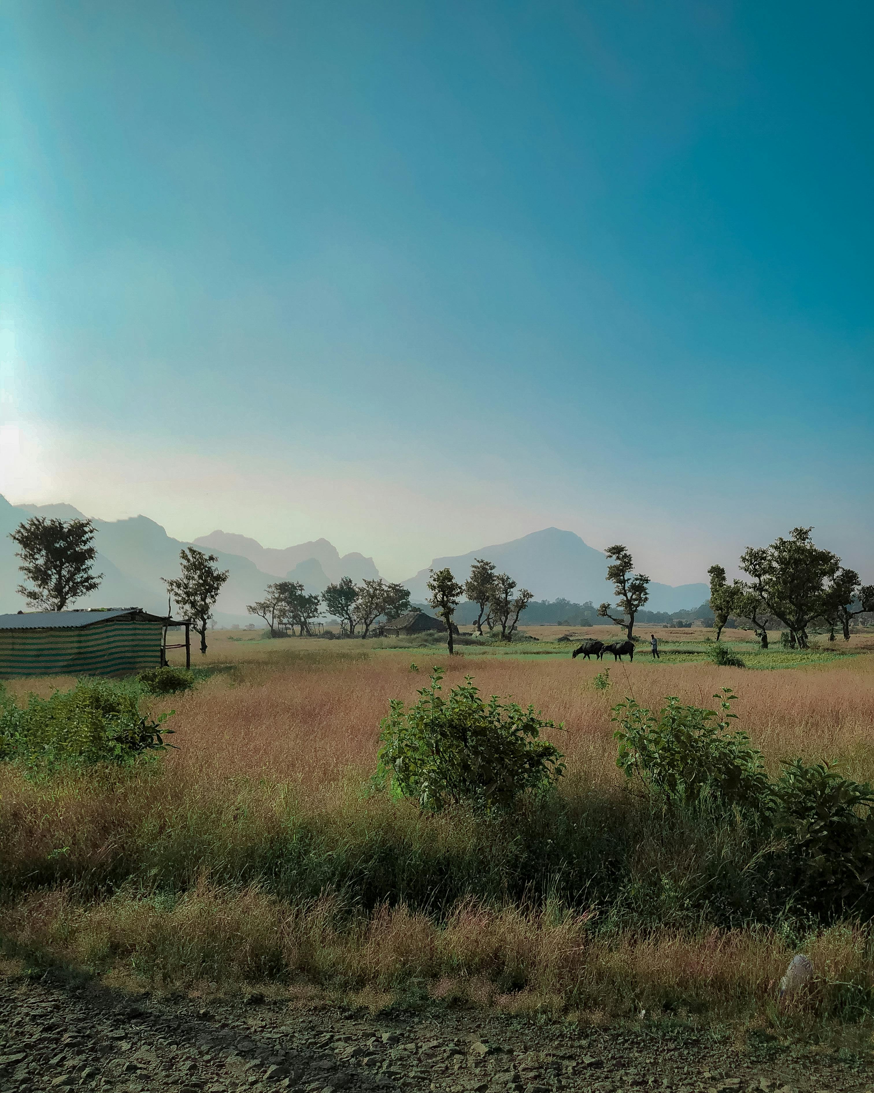 Worker installing solar panels on a roof