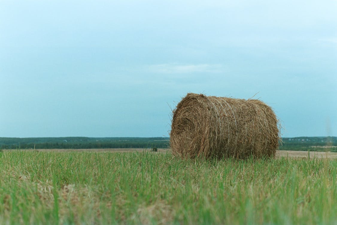 Big Hay Bale Roll in Green Field