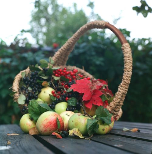 Free Vibrant apples and berries in a wicker basket on a wooden table, evoking autumn's bounty. Stock Photo