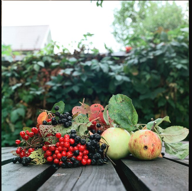Colorful apples and berries arranged on a wooden table outdoors, ideal for autumn-themed content.
