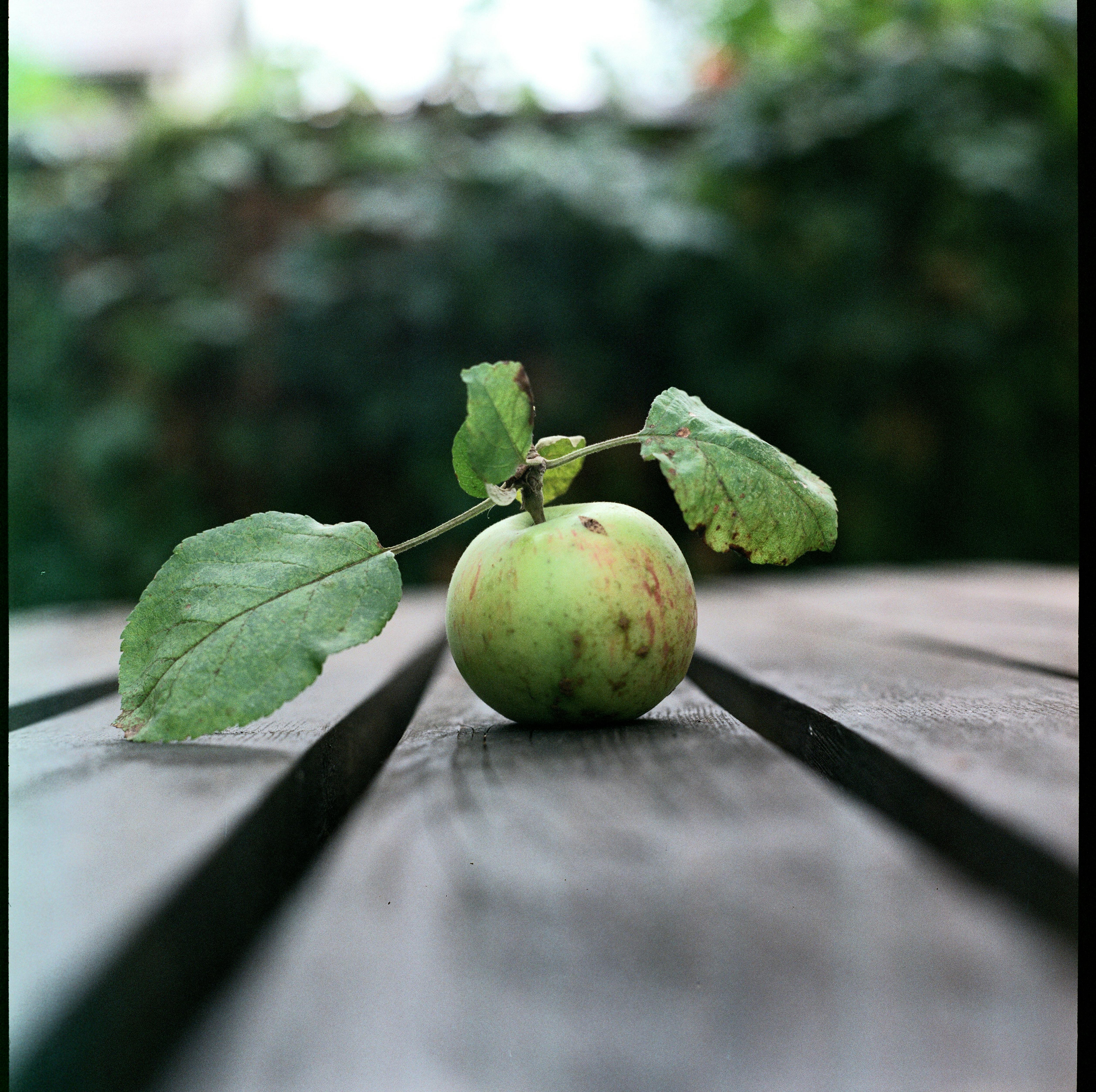 A single apple with leaves resting on a rustic wooden table outdoors.