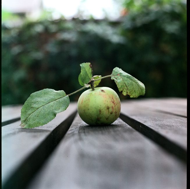 A single apple with leaves resting on a rustic wooden table outdoors.