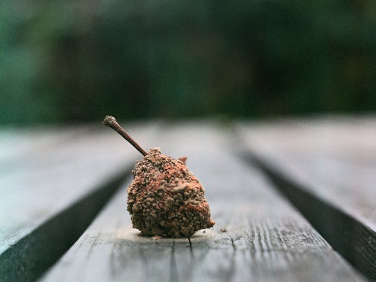 Decaying Fruit In Close Up