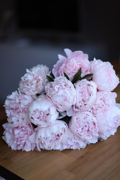 Close up of White Flowers