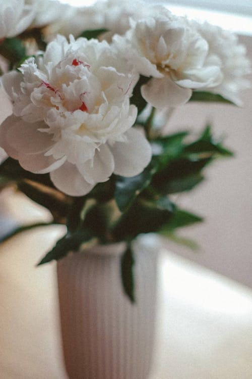 Δωρεάν στοκ φωτογραφιών με βάζο, κατακόρυφη λήψη, λουλούδια