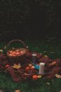Picnic on a Meadow in Autumn