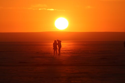 Free stock photo of backlit, beach, dawn Stock Photo