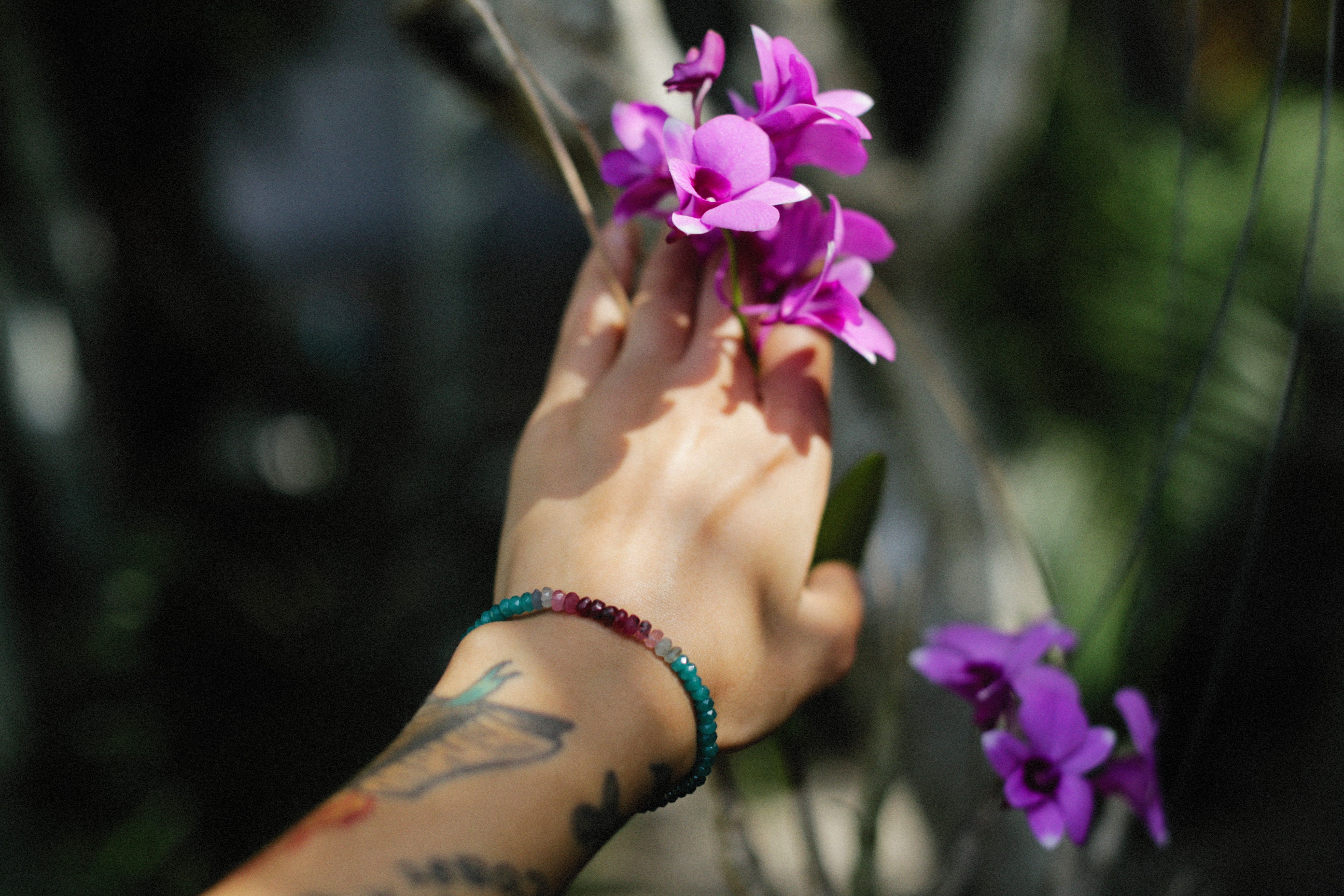 A close-up of a hand touching beautiful purple orchids with a bracelet and tattoo visible.