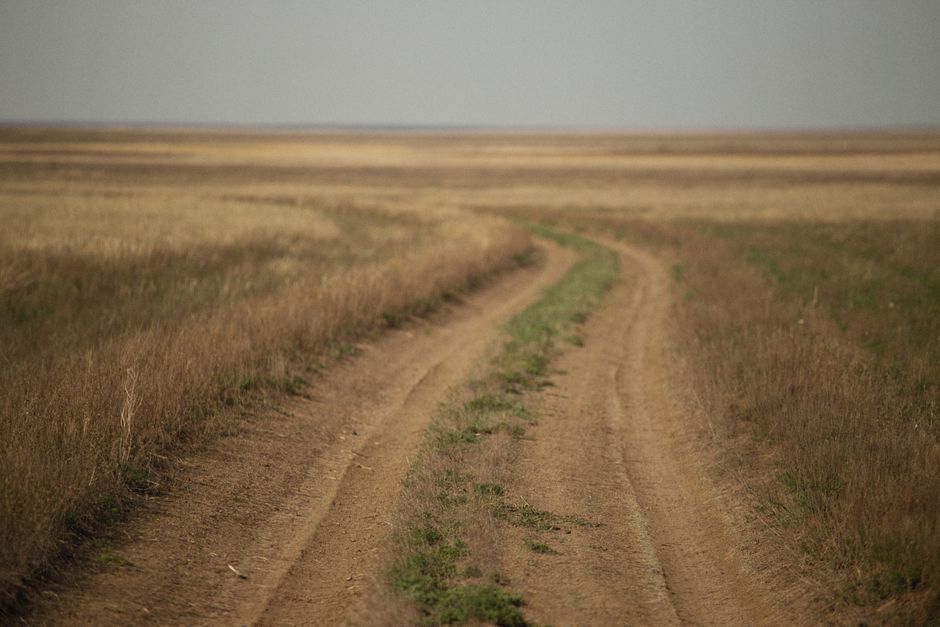 A serene dirt road winding through vast grasslands, capturing rural tranquility and open space.