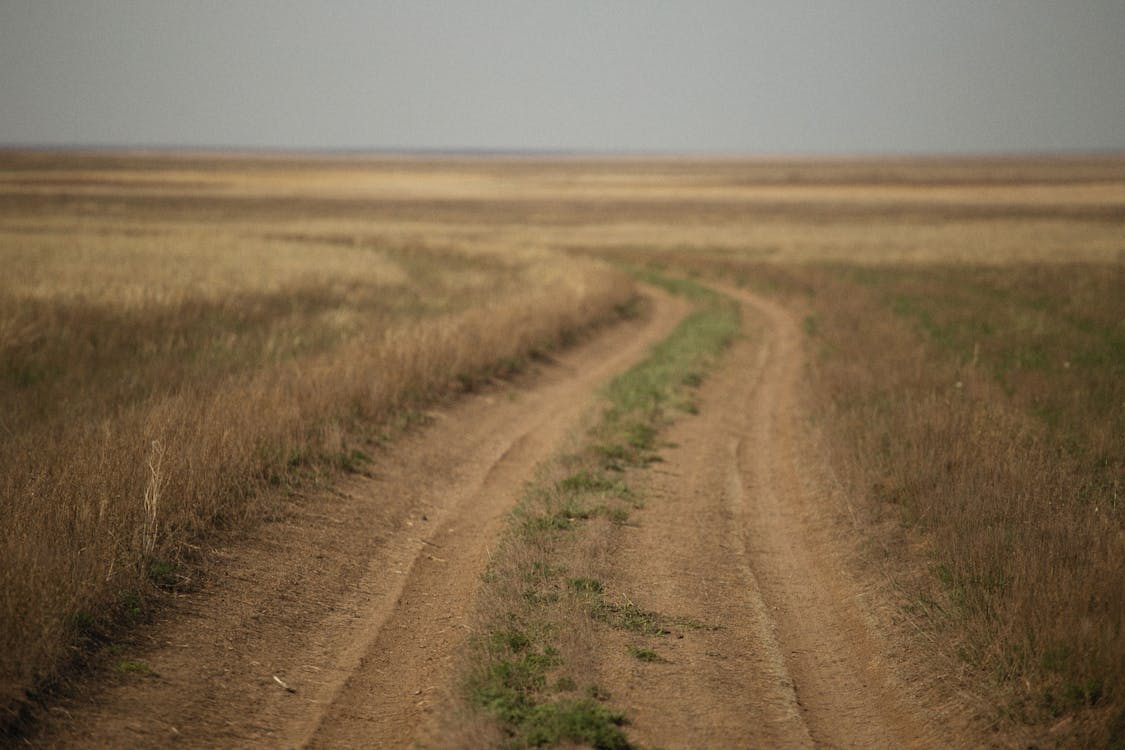 Dirt Road on Brown Grass Field