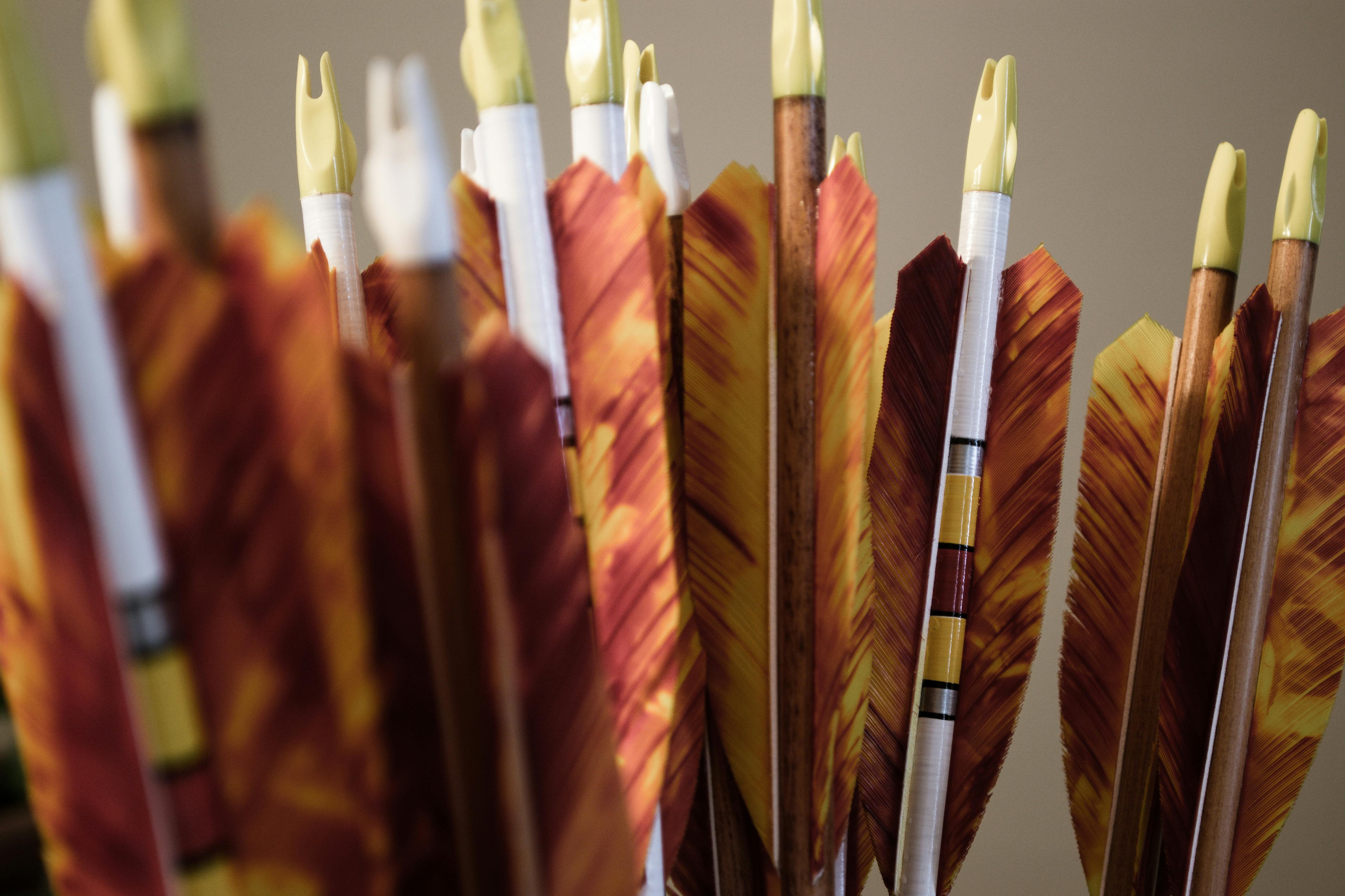 Free stock photo of arrow, feathers