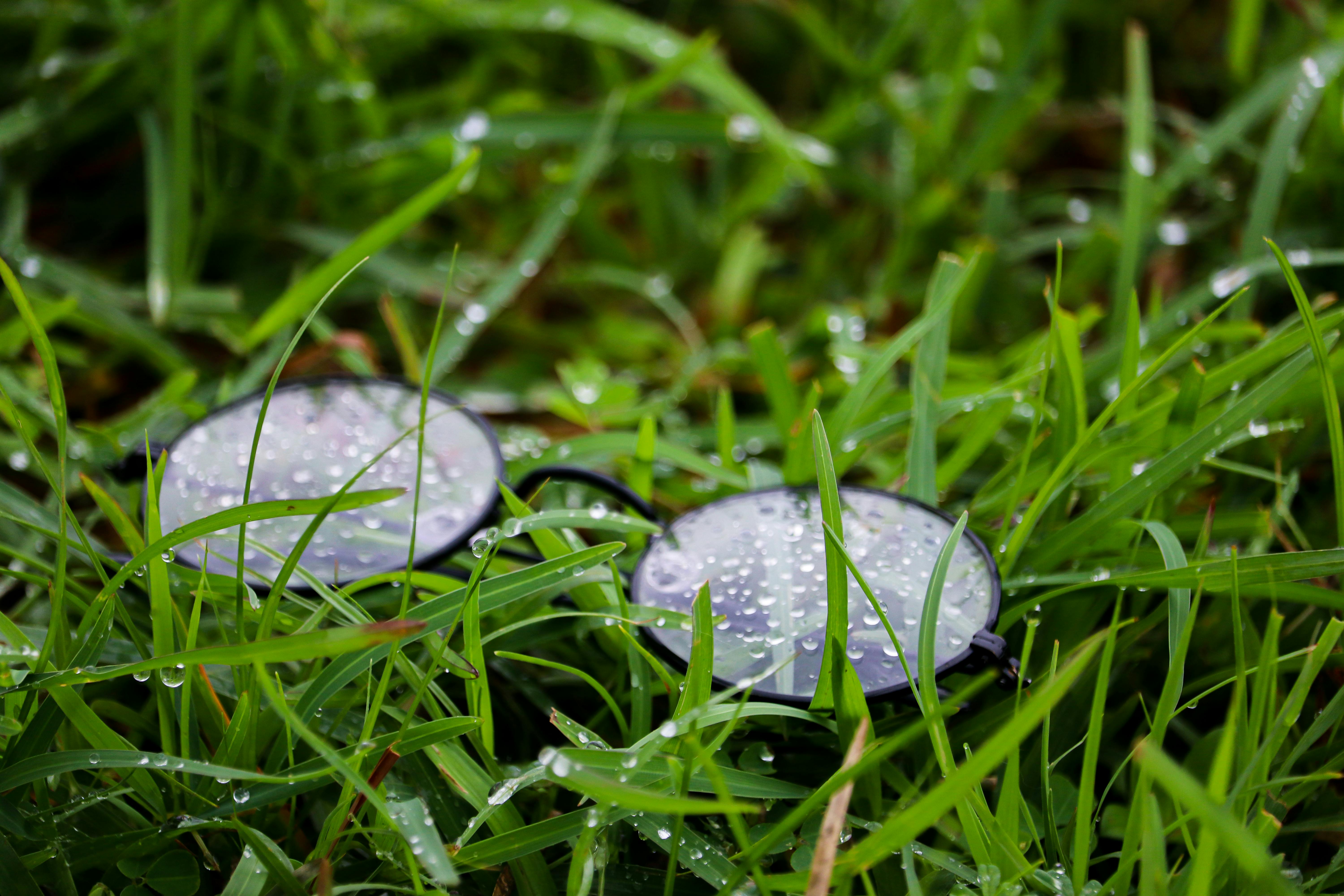 A Wet Eyeglasses on a Grass · Free Stock Photo